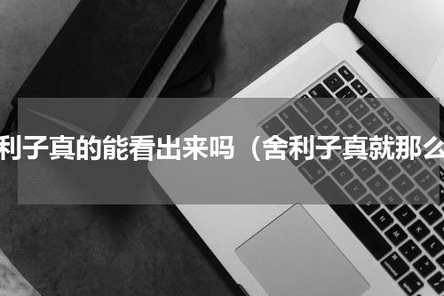 舍利子真的能看出来吗（舍利子真就那么）