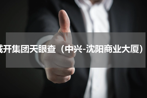 城开集团天眼查（中兴-沈阳商业大厦）