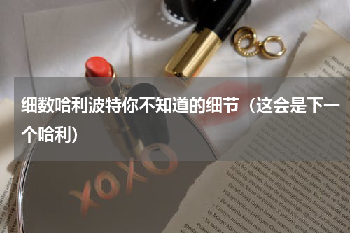 细数哈利波特你不知道的细节（这会是下一个哈利）