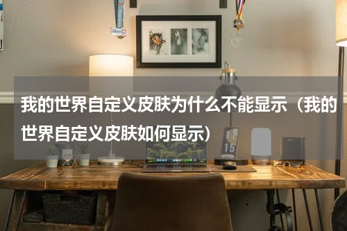 我的世界自定义皮肤为什么不能显示（我的世界自定义皮肤如何显示）