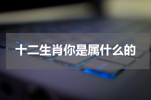 十二生肖你是属什么的