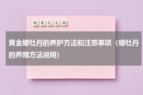 黄金蜡牡丹的养护方法和注意事项（蜡牡丹的养殖方法说明）