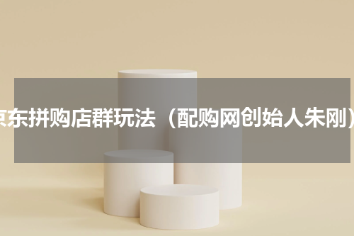京东拼购店群玩法（配购网创始人朱刚）
