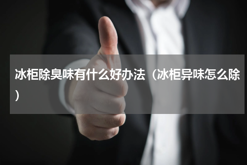 冰柜除臭味有什么好办法（冰柜异味怎么除）