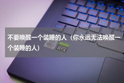 不要唤醒一个装睡的人（你永远无法唤醒一个装睡的人）