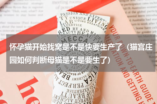 怀孕猫开始找窝是不是快要生产了（猫宫庄园如何判断母猫是不是要生了）