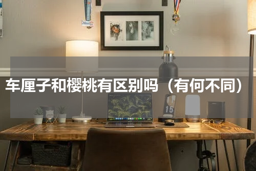 车厘子和樱桃有区别吗（有何不同）