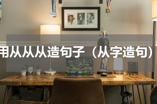 用从从从造句子（从字造句）