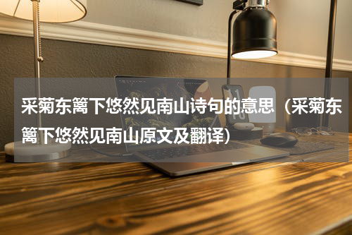 采菊东篱下悠然见南山诗句的意思（采菊东篱下悠然见南山原文及翻译）