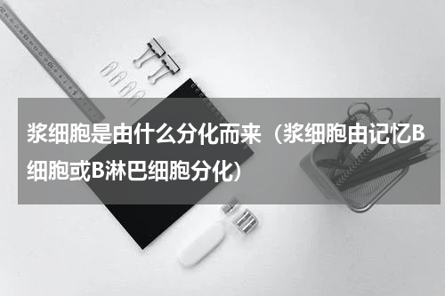 浆细胞是由什么分化而来（浆细胞由记忆B细胞或B淋巴细胞分化）