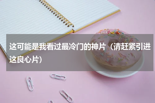这可能是我看过最冷门的神片（请赶紧引进这良心片）