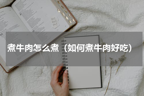 煮牛肉怎么煮（如何煮牛肉好吃）