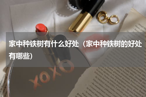 家中种铁树有什么好处（家中种铁树的好处有哪些）