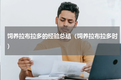 饲养拉布拉多的经验总结（饲养拉布拉多时）