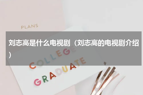 刘志高是什么电视剧（刘志高的电视剧介绍）