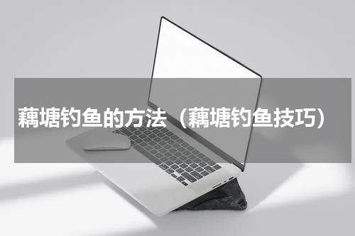 藕塘钓鱼的方法（藕塘钓鱼技巧）