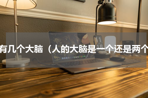 人有几个大脑（人的大脑是一个还是两个）