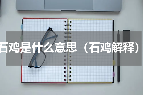 石鸡是什么意思（石鸡解释）