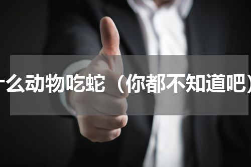 什么动物吃蛇（你都不知道吧）