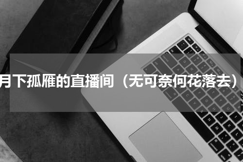 月下孤雁的直播间（无可奈何花落去）