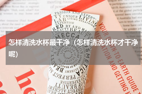 怎样清洗水杯最干净（怎样清洗水杯才干净呢）