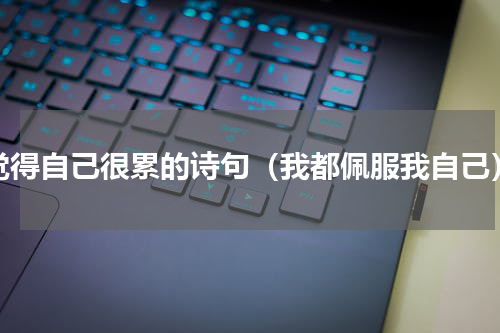 觉得自己很累的诗句（我都佩服我自己）
