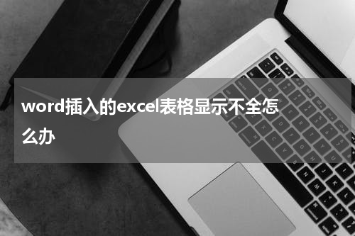 word插入的excel表格显示不全怎么办