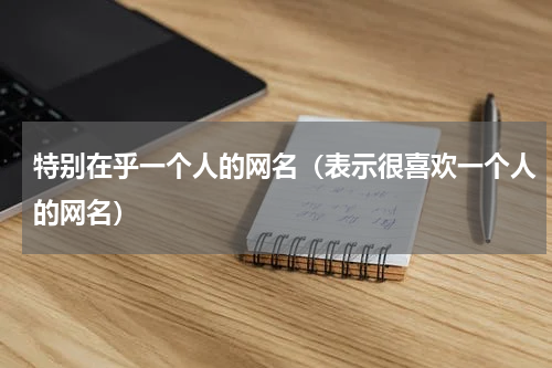 特别在乎一个人的网名（表示很喜欢一个人的网名）