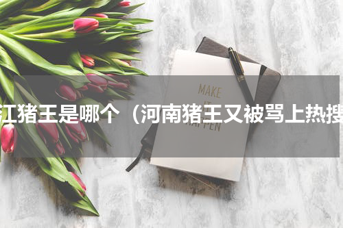 浙江猪王是哪个（河南猪王又被骂上热搜）