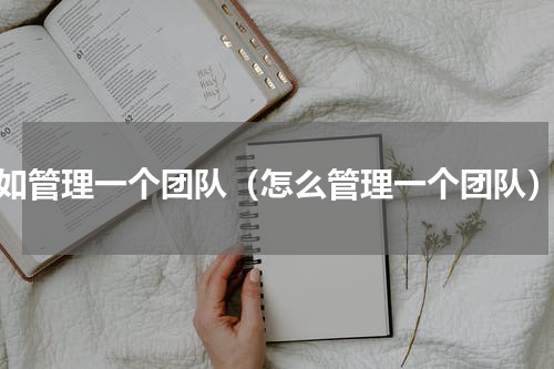 如管理一个团队（怎么管理一个团队）