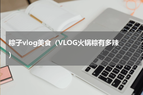 粽子vlog美食（VLOG火锅粽有多辣）