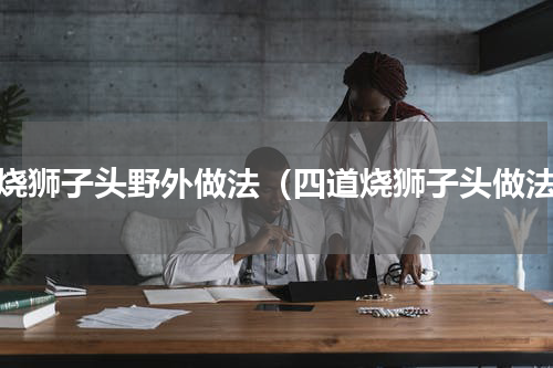 红烧狮子头野外做法（四道烧狮子头做法）