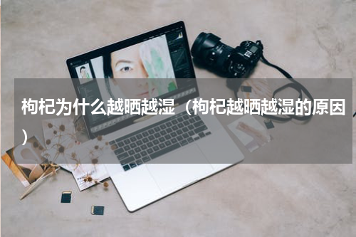 枸杞为什么越晒越湿（枸杞越晒越湿的原因）