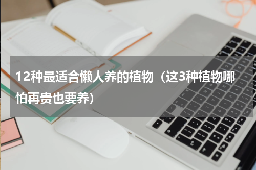 12种最适合懒人养的植物（这3种植物哪怕再贵也要养）