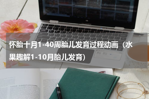怀胎十月1-40周胎儿发育过程动画（水果趣解1-10月胎儿发育）
