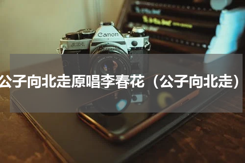 公子向北走原唱李春花（公子向北走）