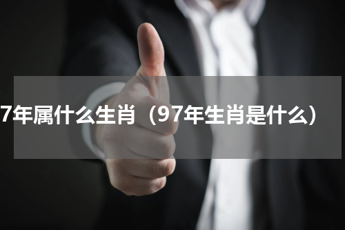 97年属什么生肖（97年生肖是什么）