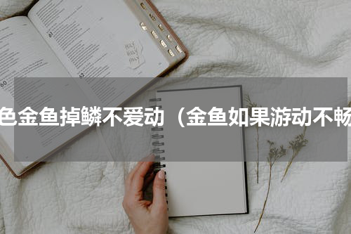 白色金鱼掉鳞不爱动（金鱼如果游动不畅）