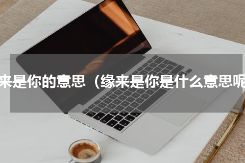 缘来是你的意思（缘来是你是什么意思呢）