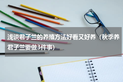 浅谈君子兰的养殖方法好看又好养（秋季养君子兰要做3件事）