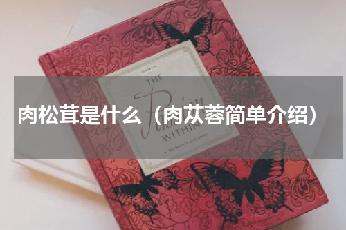 肉松茸是什么（肉苁蓉简单介绍）
