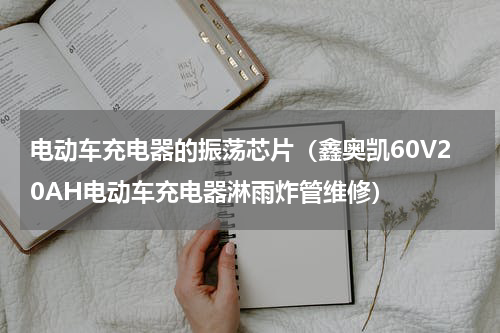 电动车充电器的振荡芯片（鑫奥凯60V20AH电动车充电器淋雨炸管维修）