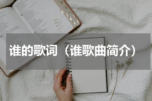 谁的歌词（谁歌曲简介）