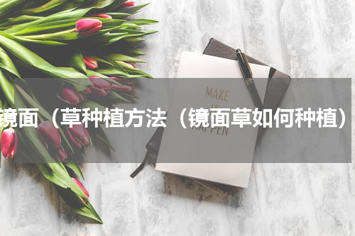 镜面（草种植方法（镜面草如何种植）