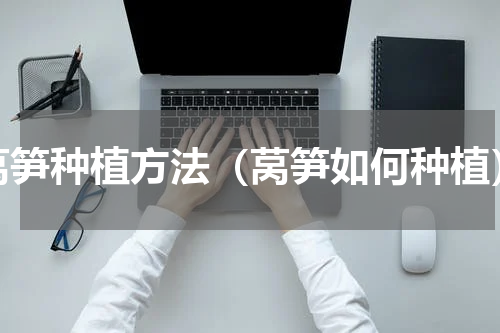 莴笋种植方法（莴笋如何种植）