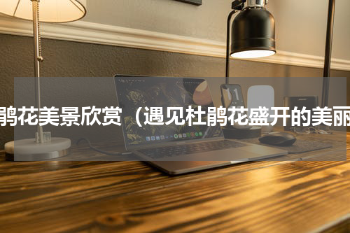 杜鹃花美景欣赏（遇见杜鹃花盛开的美丽）