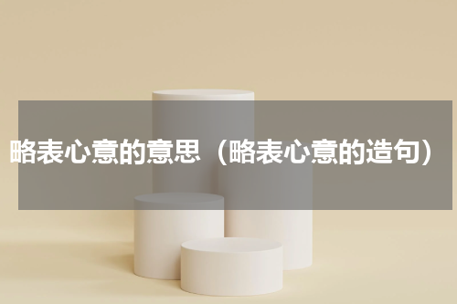 略表心意的意思（略表心意的造句）