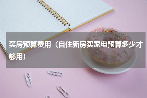 买房预算费用（自住新房买家电预算多少才够用）