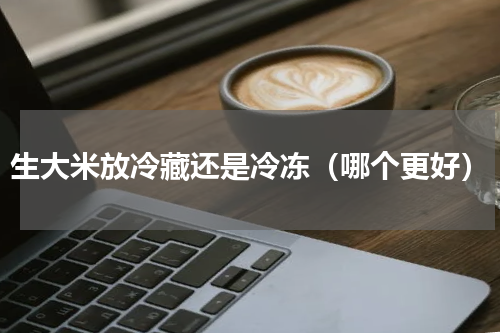 生大米放冷藏还是冷冻（哪个更好）