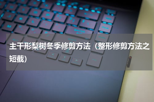 主干形梨树冬季修剪方法（整形修剪方法之短截）